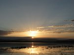 IMG_0783