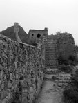 IMG_0800