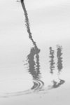 _MG_1714a