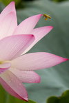 _MG_1845a