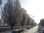 20131227_153059