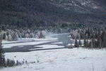 _C253590