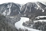 _C253599