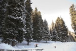 _MG_4796