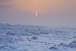 _MG_4808