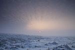 _MG_4810