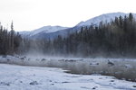 _MG_4905