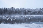 _MG_4911
