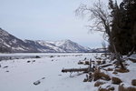 _MG_4920