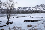 _MG_4935