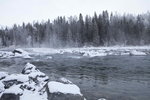 _MG_4939
