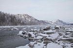 _MG_4941