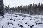 _MG_4946