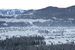 _MG_4952