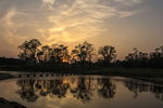 _MG_0602