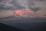 _MG_0719