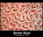 prettyrose