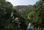 IMG_4978