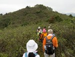 IMG_6487 a
