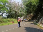 IMG_7290 a
