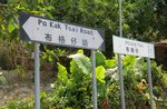 IMG_7318 a
