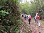 IMG_7494 a