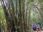 IMG_7510 a