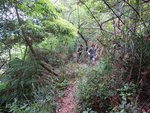 IMG_7516 a