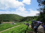 IMG_9704 a