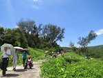 IMG_9706 a