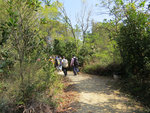 IMG_4597 a