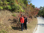 IMG_4619 a