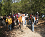 PICT0203 a