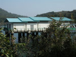 PICT0238 a