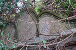 IMG_6693 a