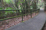 IMG_6708 a