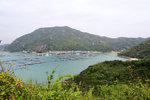 IMG_6806 a