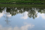 IMG_7157 a