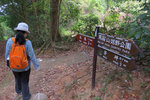 IMG_7433 a