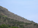 大隊攀登釣魚翁山