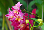 DSC_0192 a