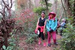 IMG_5129 a