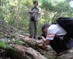 PICT0348 a