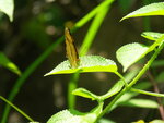PICT0063