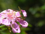 PICT0066