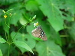 PICT0069