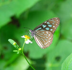 PICT0069 a