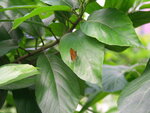 PICT0083