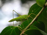 PICT0087