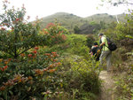 PICT0363 a